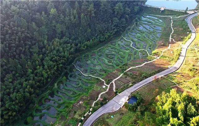 恭喜！梁平一项目获国际奖项