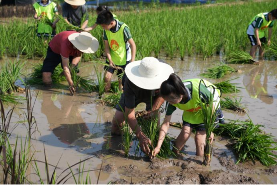 璧山区实验小学：课程拓展+课堂革新+评价引领 全维赋能育新人丨“五育融合”的重庆答卷