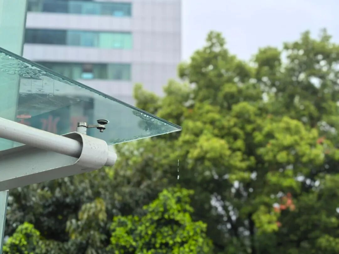 直冲31℃↗ 雨水来袭↘ 重庆开启“晴雨随机播放”模式